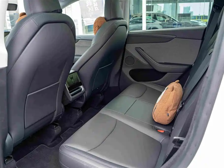 Tesla Model Y — миниатюра 12