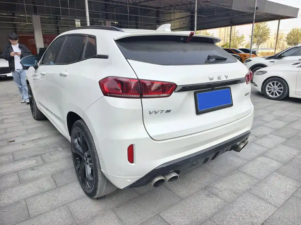 WEI PAI WEI BRAND VV7