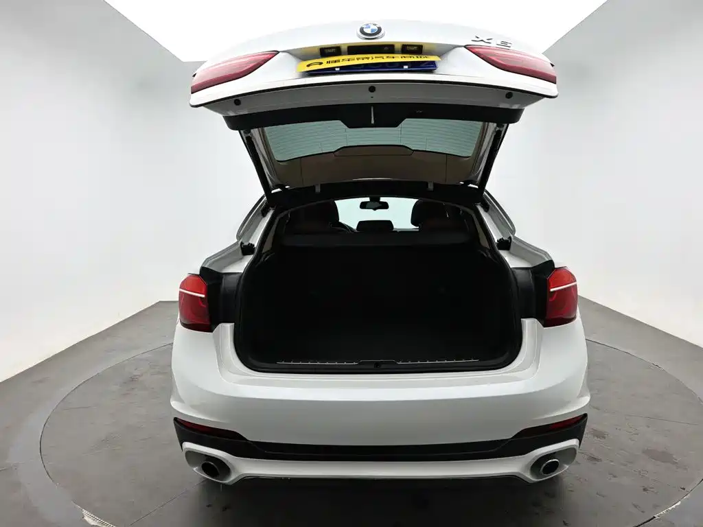 BMW X6 — миниатюра 8