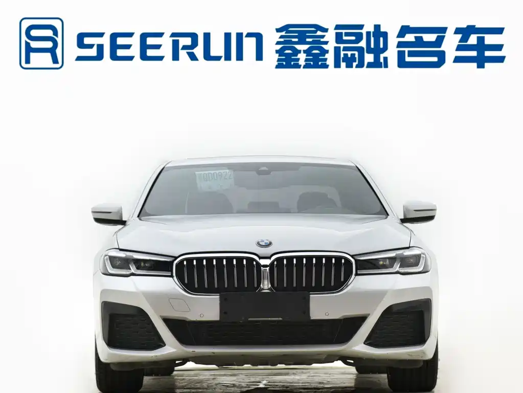 BMW 5 Series — миниатюра 2