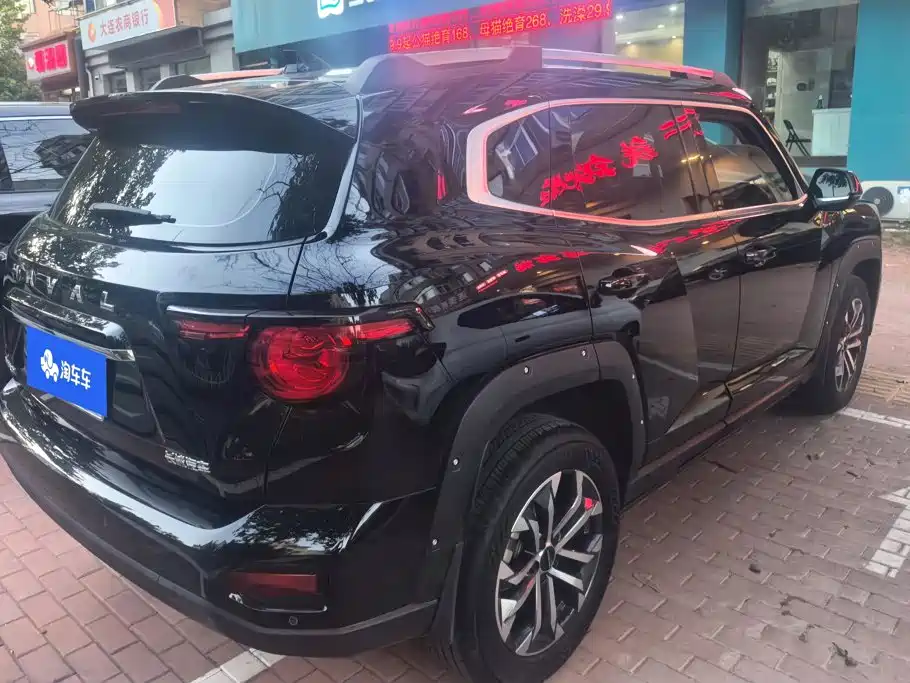 Haval Big Dog PLUS — миниатюра 3