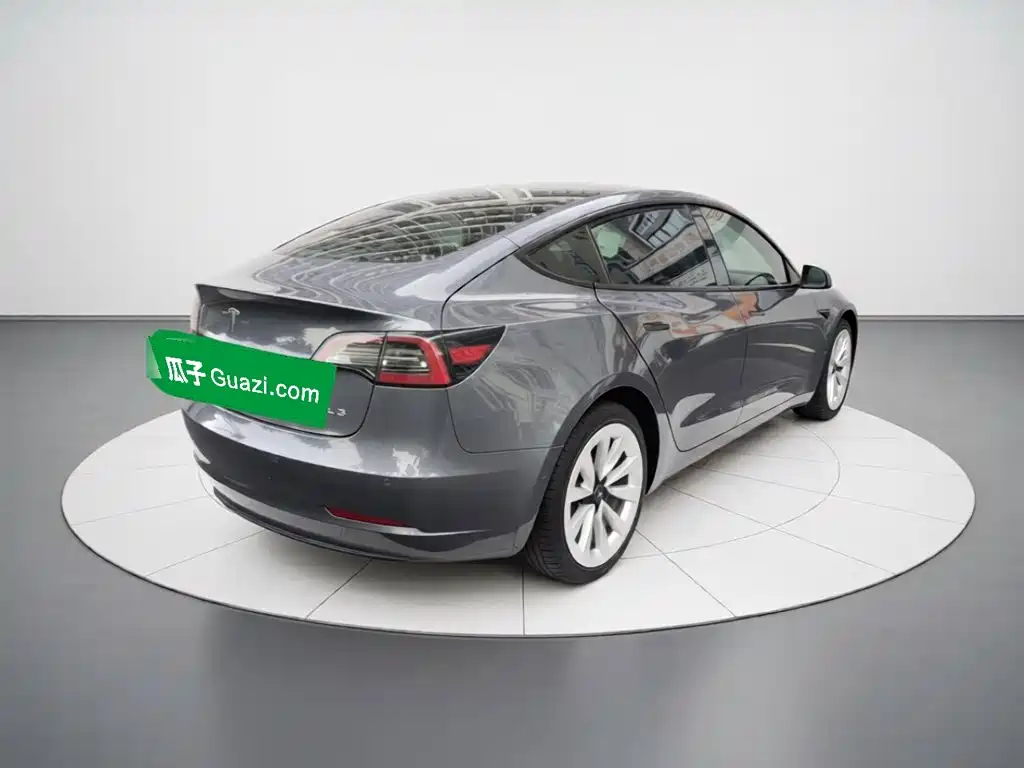 Tesla Model 3 — миниатюра 4