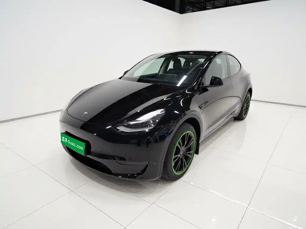 Tesla Model Y — миниатюра 2