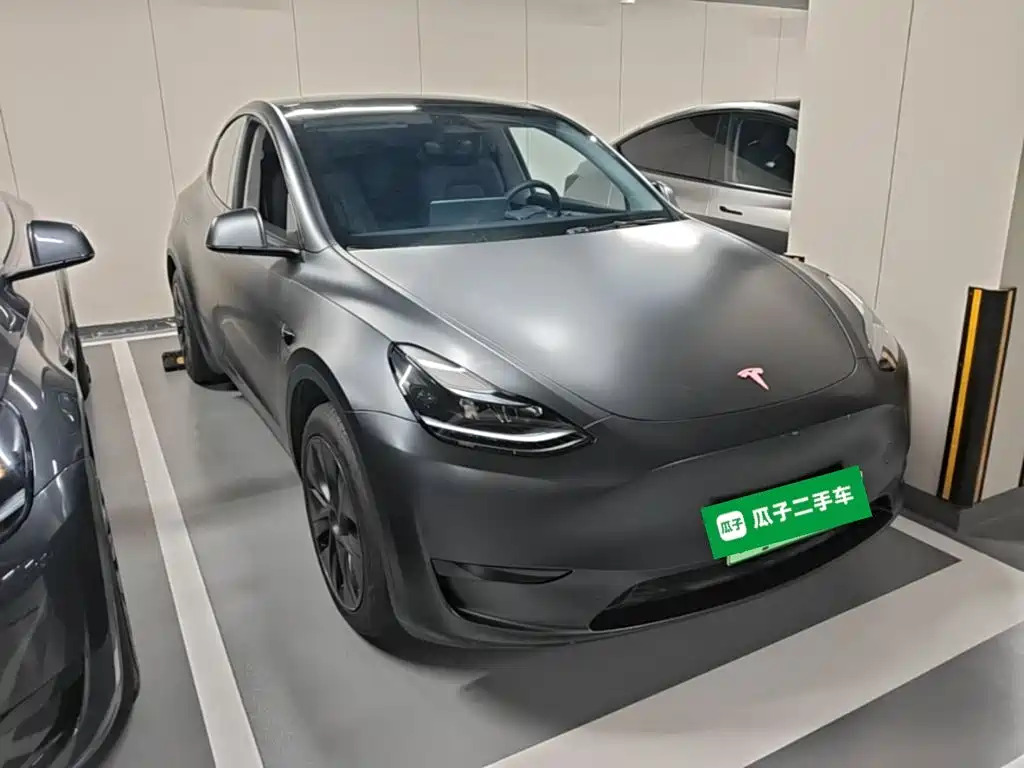 Tesla Model Y — миниатюра 4