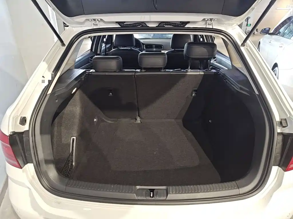Volkswagen Gran Lavida — миниатюра 19