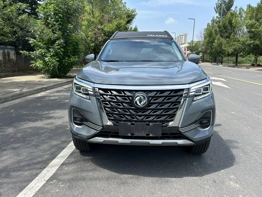 Dongfeng Palasso — миниатюра 6
