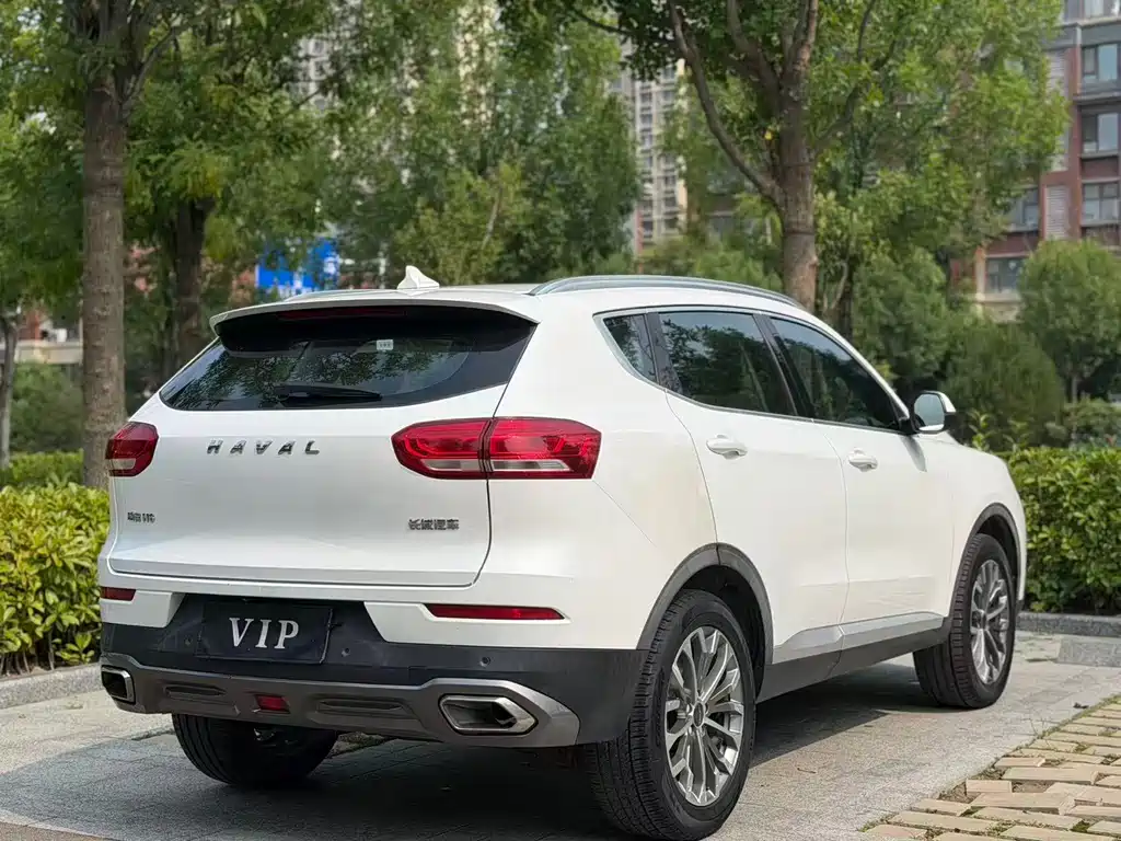 Haval H6 1.5GDIT Auto Platinum Champion Edition, фото 10
