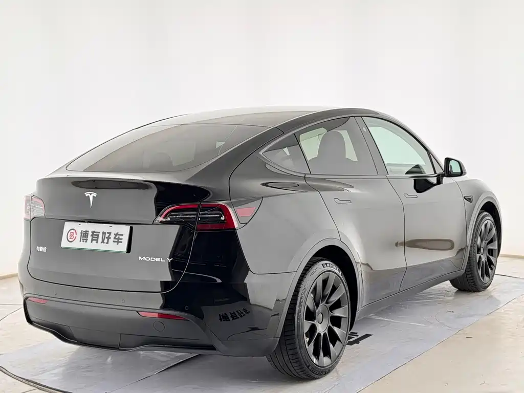Tesla Model Y — миниатюра 13