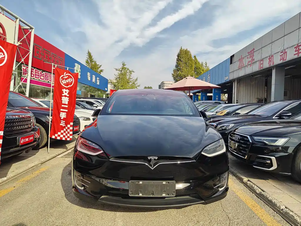 TESLA MODEL X