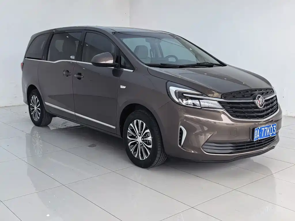 Buick GL8 — миниатюра 3