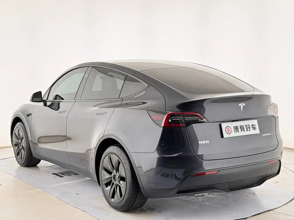 Tesla Model Y — миниатюра 11