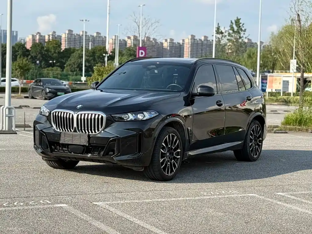 BMW X5 — миниатюра 3