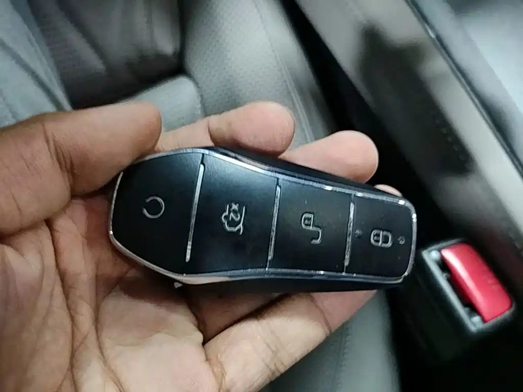 BYD Tang New Energy — миниатюра 13