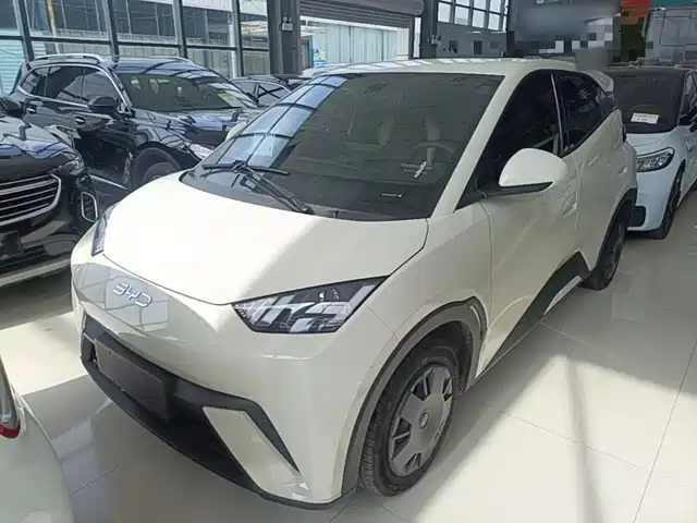2024 BYD Seagull