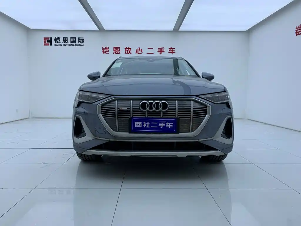 Audi e-tron — миниатюра 3