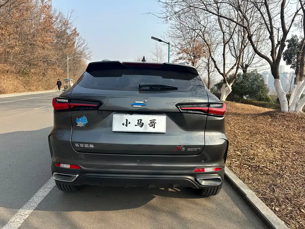 CHANGAN CHANGAN AUCHAN X5