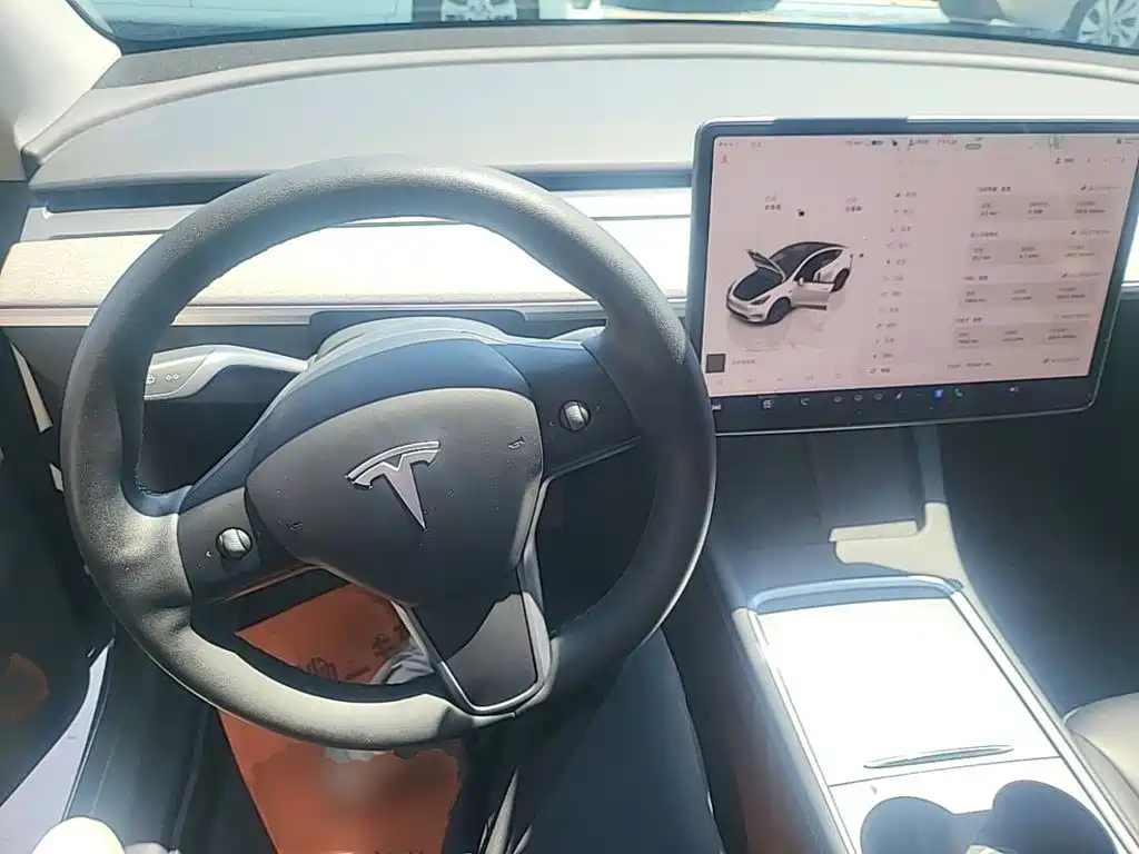 Tesla Model Y — миниатюра 11
