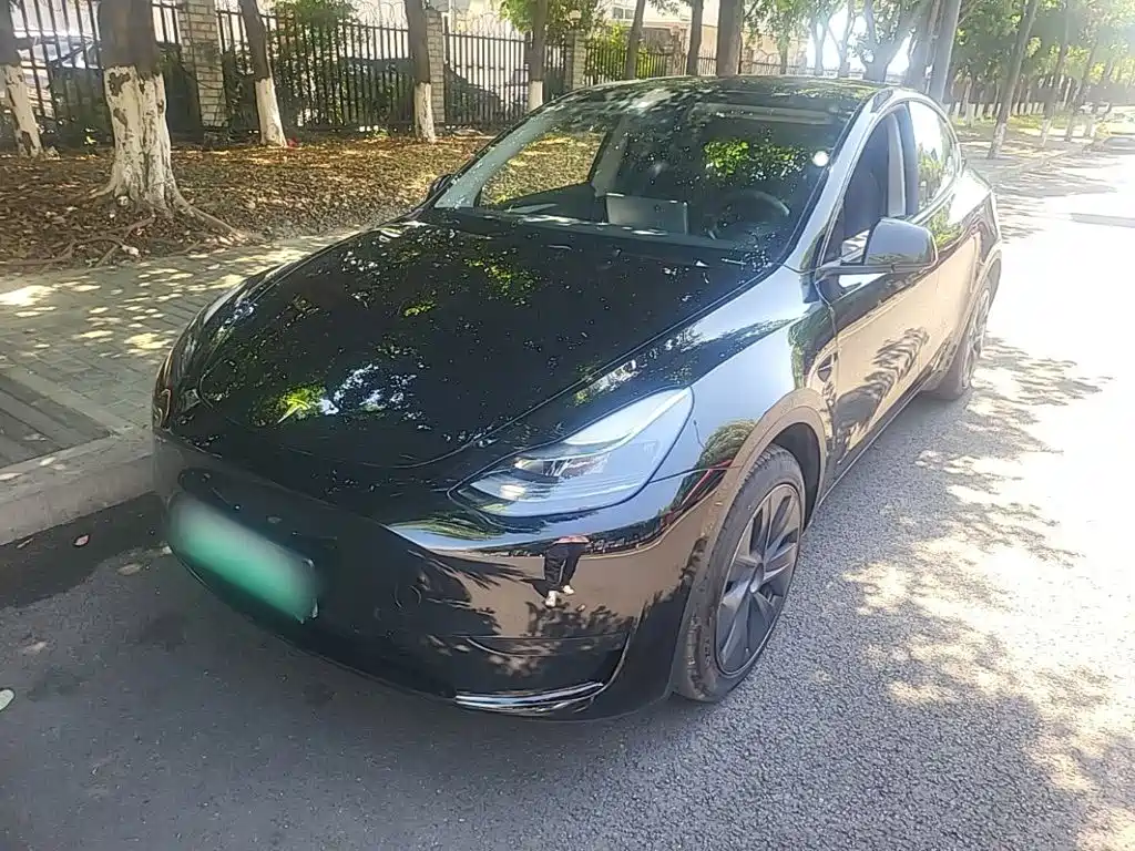 Tesla Model Y — миниатюра 2