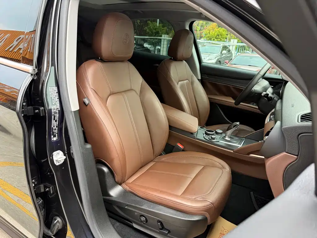 Alfa Romeo Stelvio 2.0T 200HP Luxury Edition, фото 23