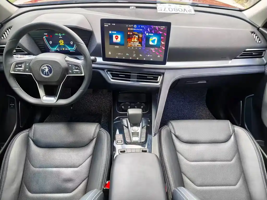 BYD Pro New Energy — миниатюра 7