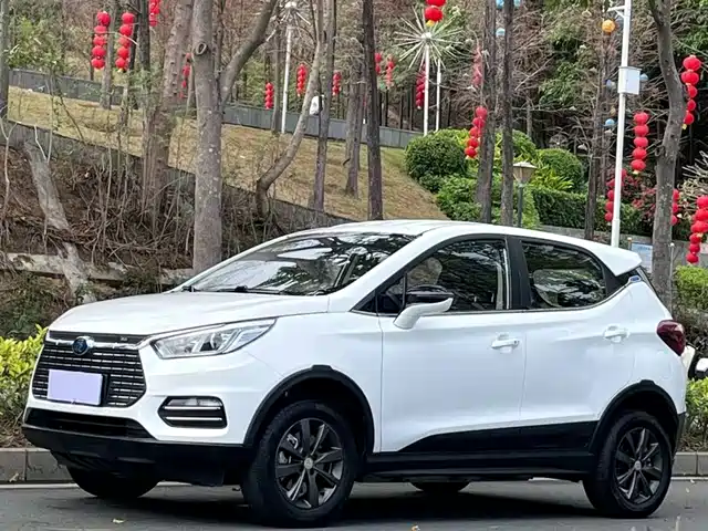 BYD YUANXIN ENERGY 2019