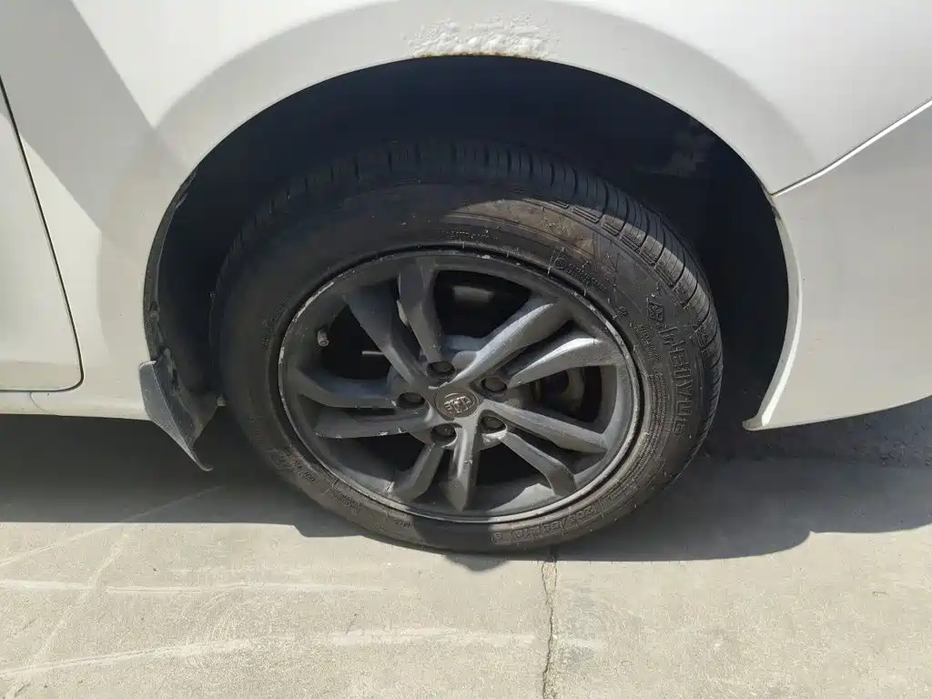BYD Surui — миниатюра 8