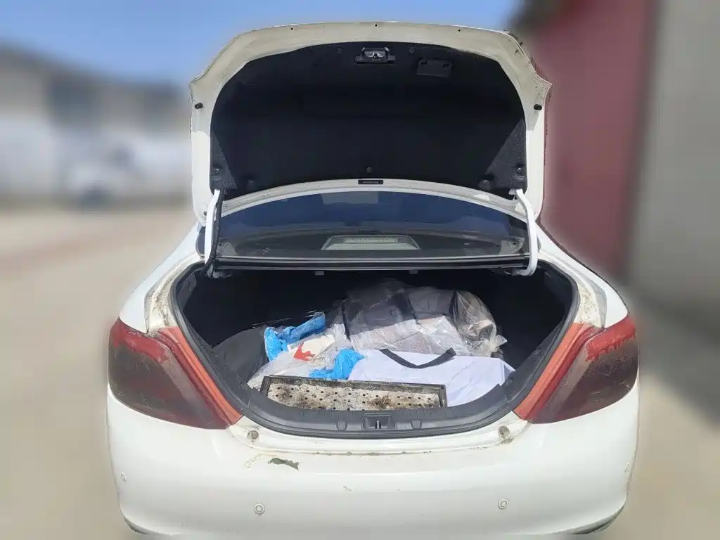 BYD Surui — миниатюра 20