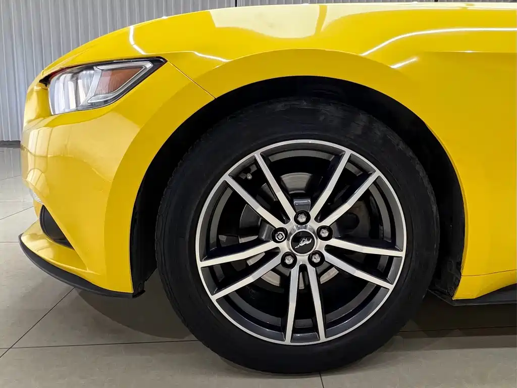 Ford Mustang 2.3T Performance Edition, фото 18