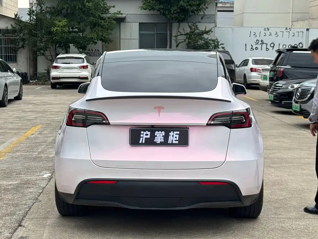 Tesla Model Y 2021 Performance