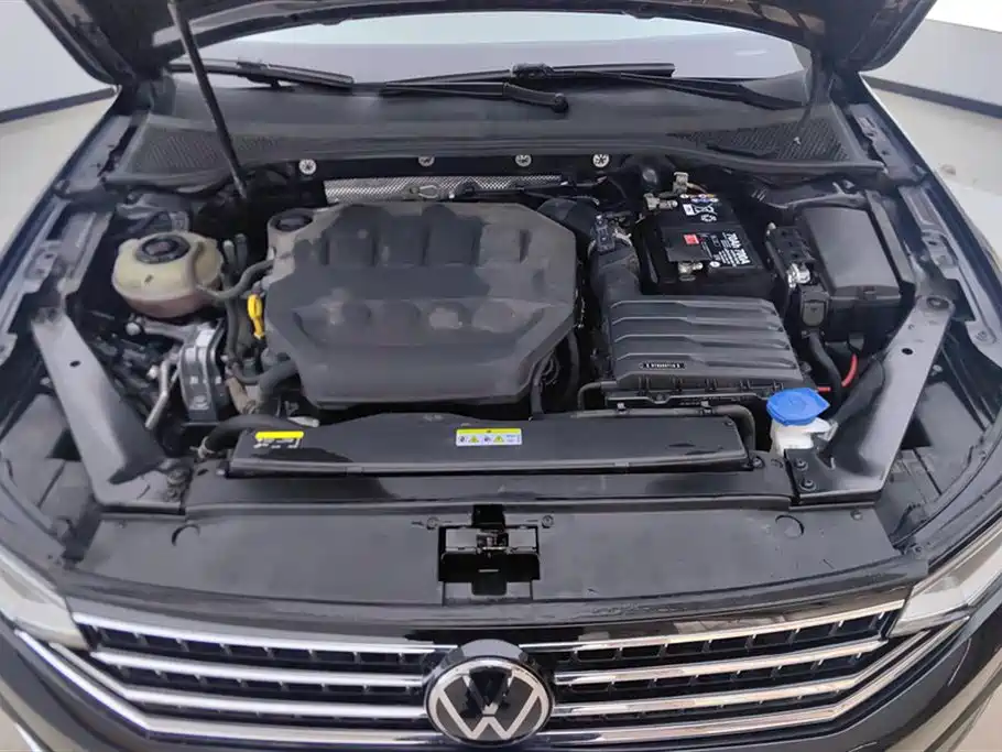 Volkswagen Magotan 2023 200 330TSI DSG Luxury