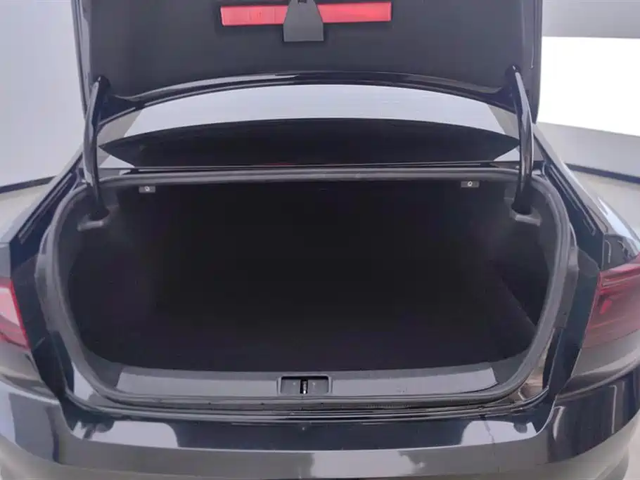 Volkswagen Magotan 2023 200 330TSI DSG Luxury