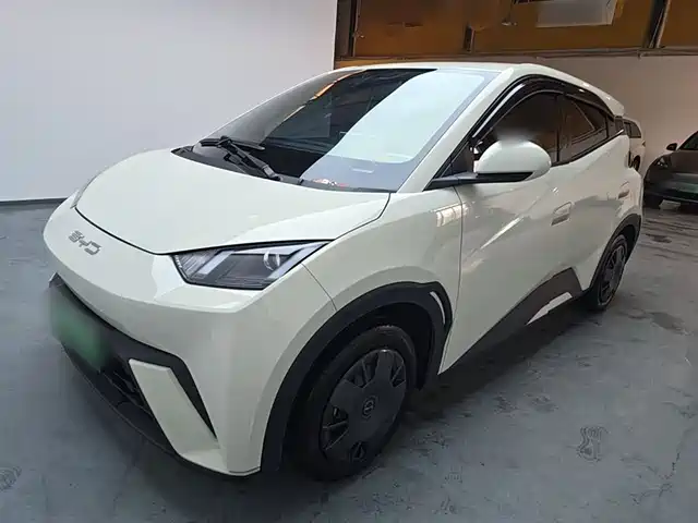 2024 BYD Seagull