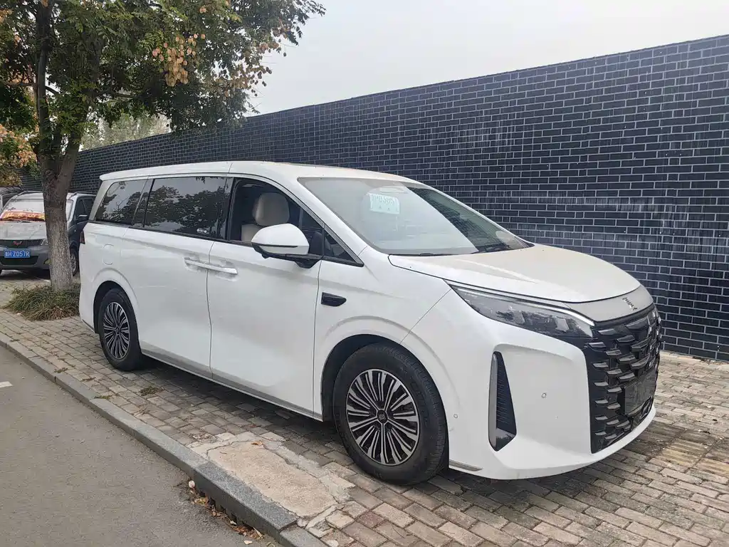 BYD Xia — миниатюра 2