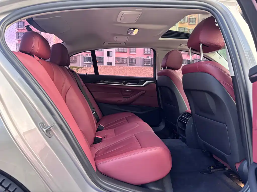 BMW 5 Series 5 2018 528Li