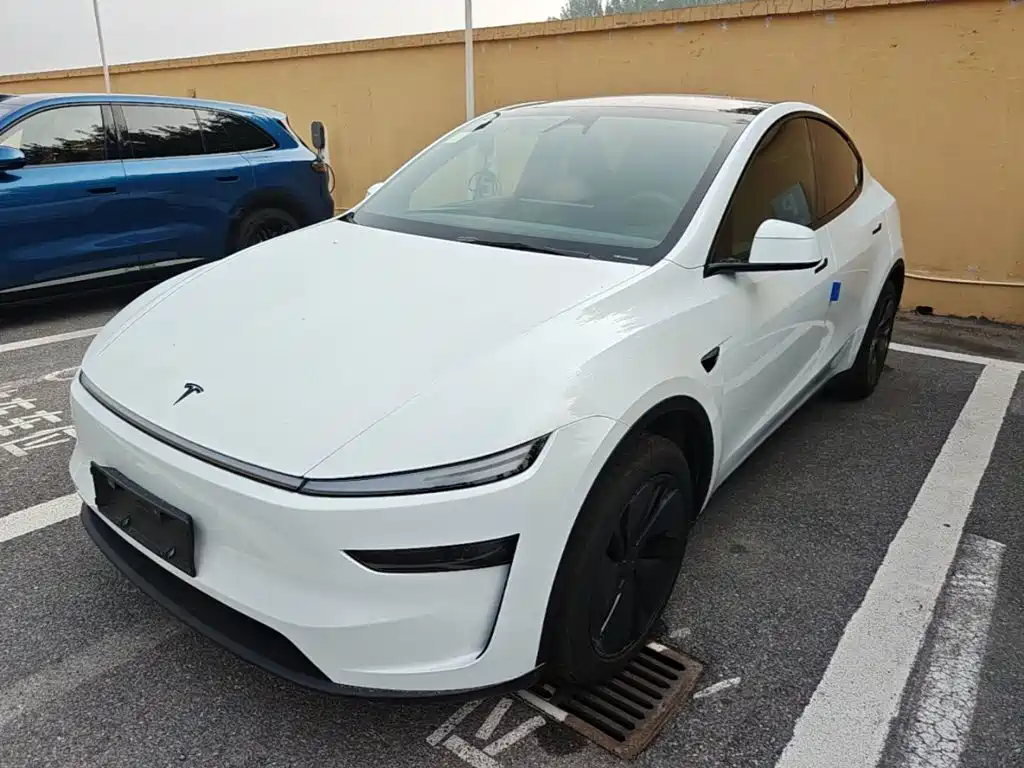 Tesla Model Y — миниатюра 2