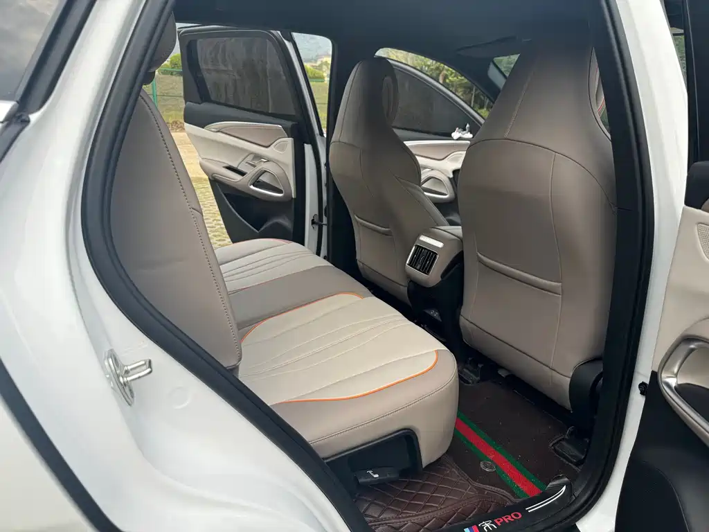 BYD SONGJIANG NEW ENERGY