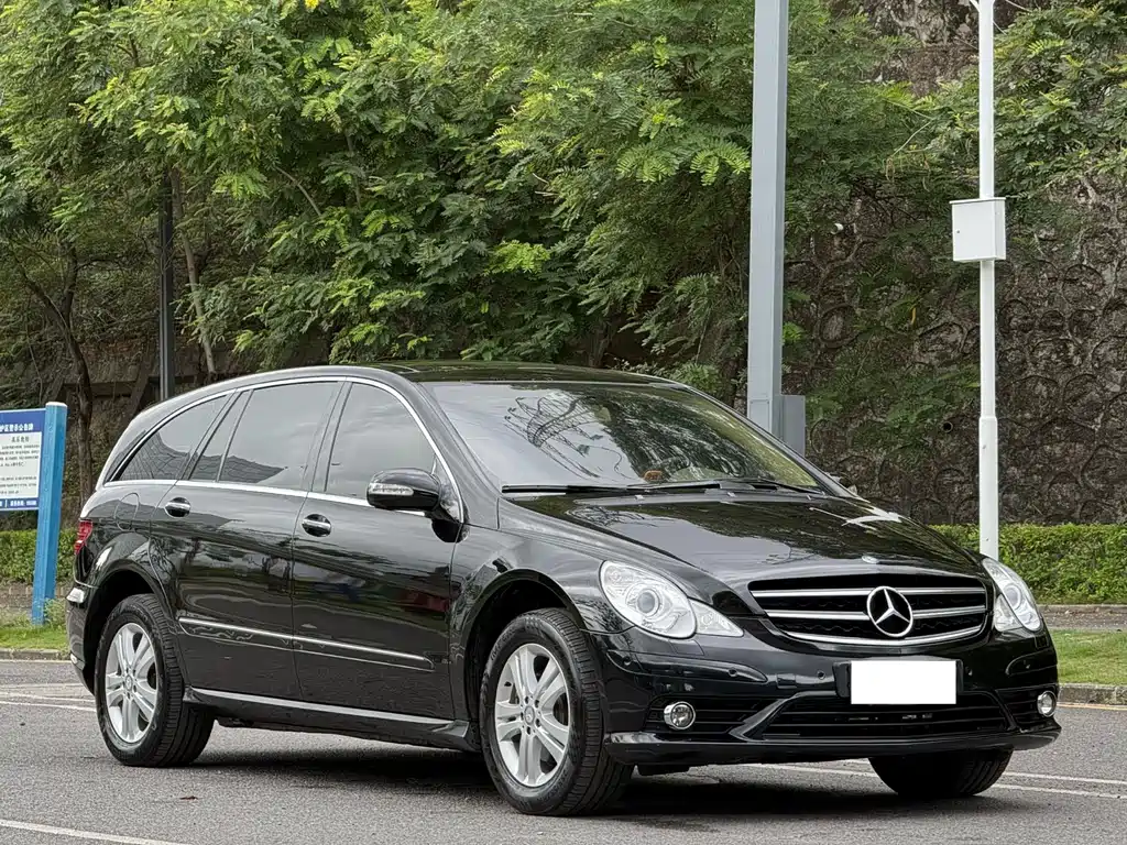Mercedes-Benz R 2010 R 300 L