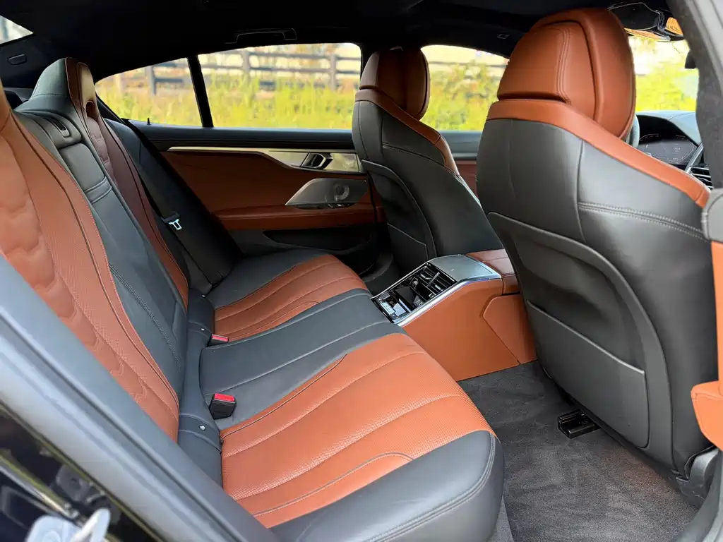 BMW 8 Series — миниатюра 11