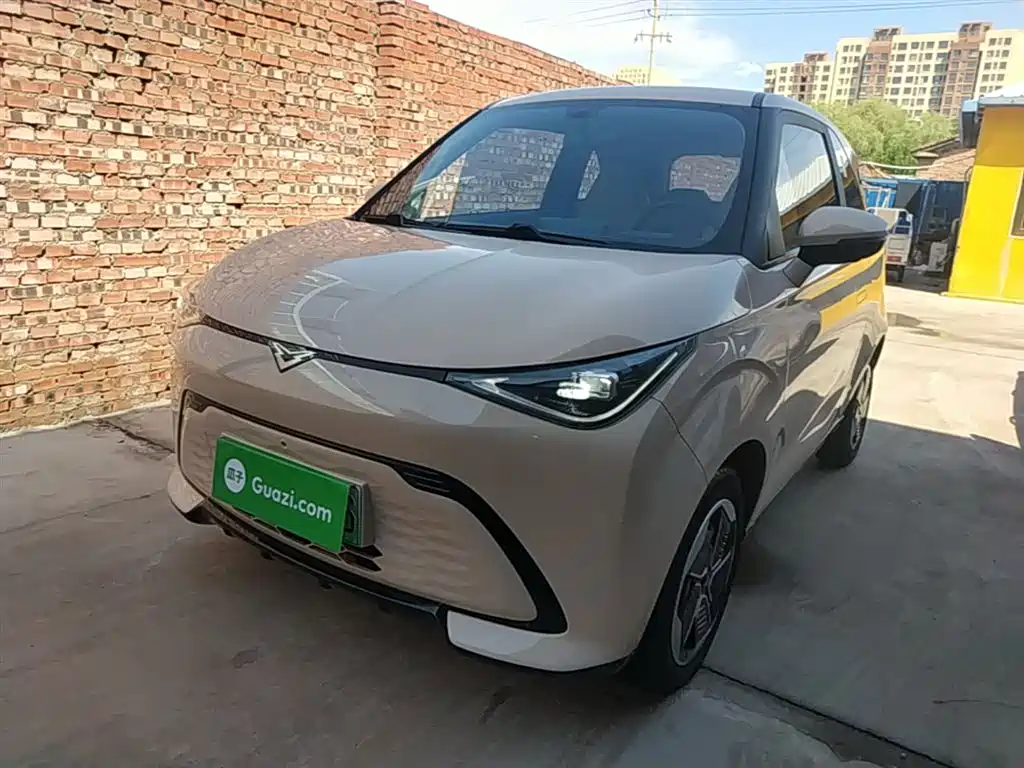 Cowin Shiyue 2024