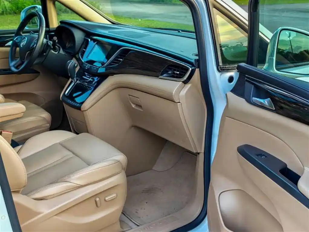 Buick GL8 2018 ES 28T Luxury VI