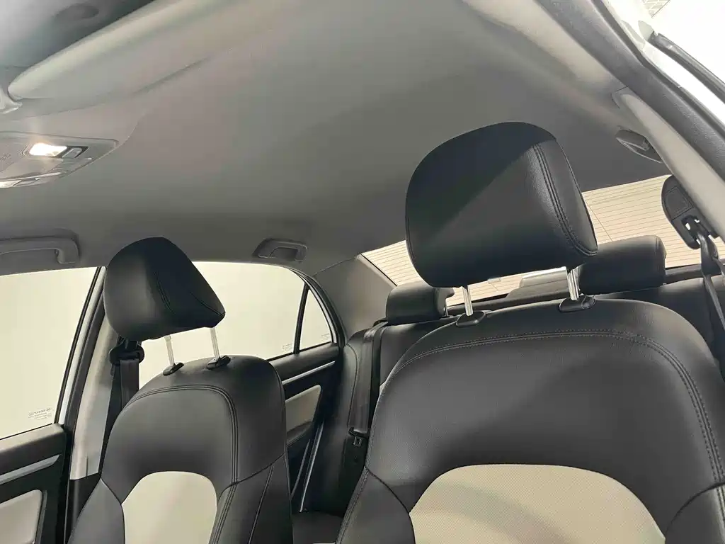 GEELY AUTOMOBILE VISION