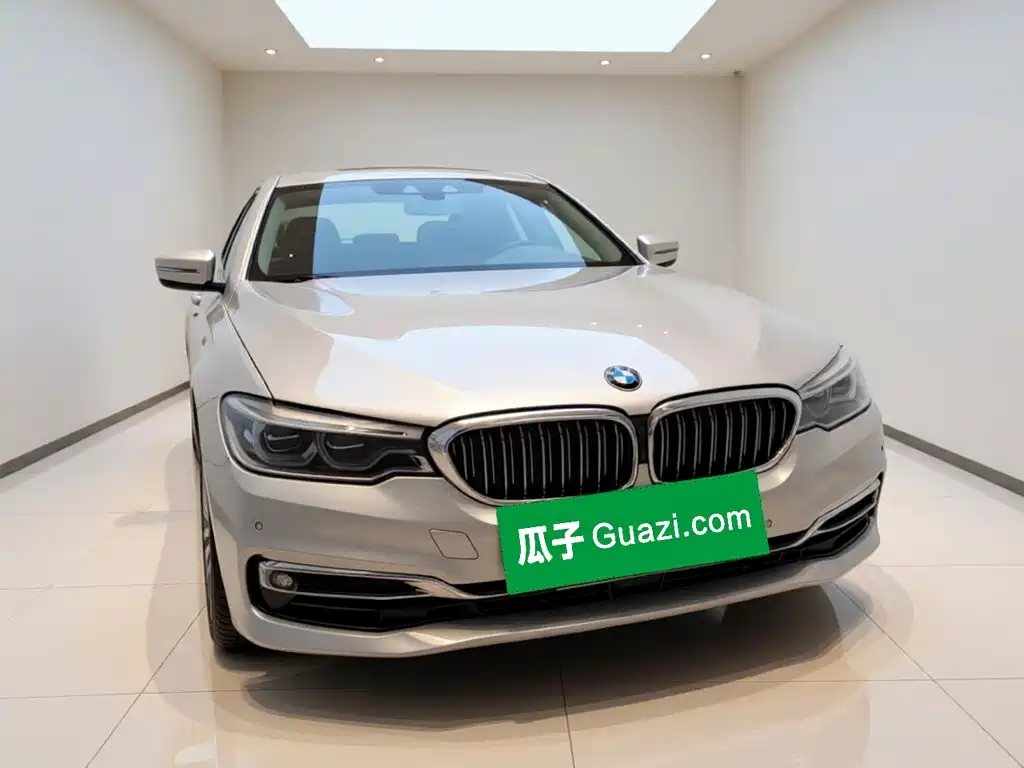 BMW 5 Series 5 2020 530Le Luxury
