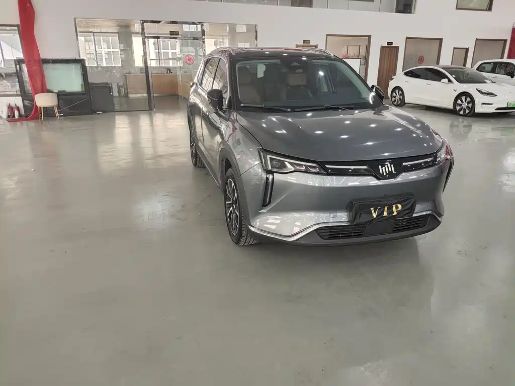 WM Motor W6