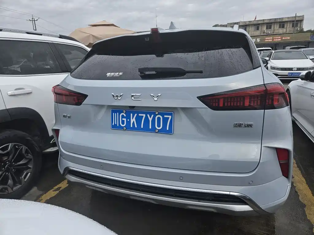 Wey Wey Mocha — миниатюра 6