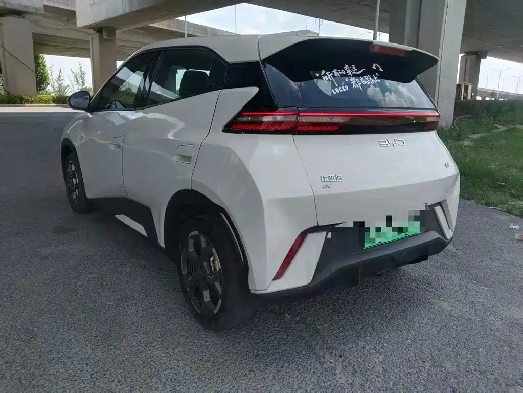 BYD Seagull 2024 405km Flying