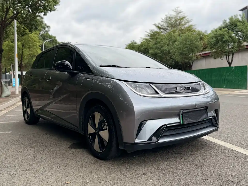 BYD Dolphin 2023 420km Fashion