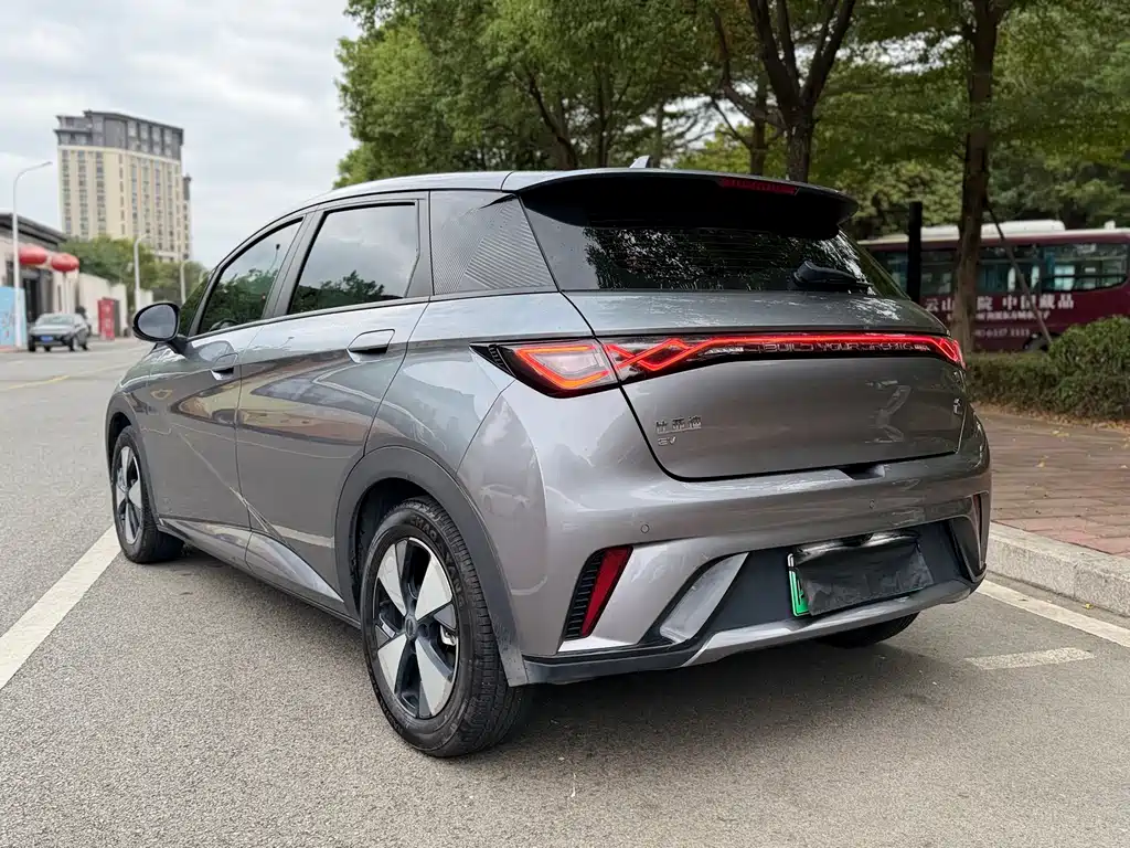 BYD Dolphin 2023 420km Fashion