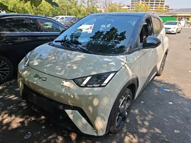 BYD Seagull