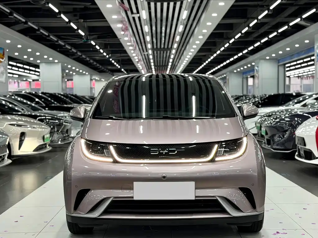 BYD Dolphin 2024 420km Fashion