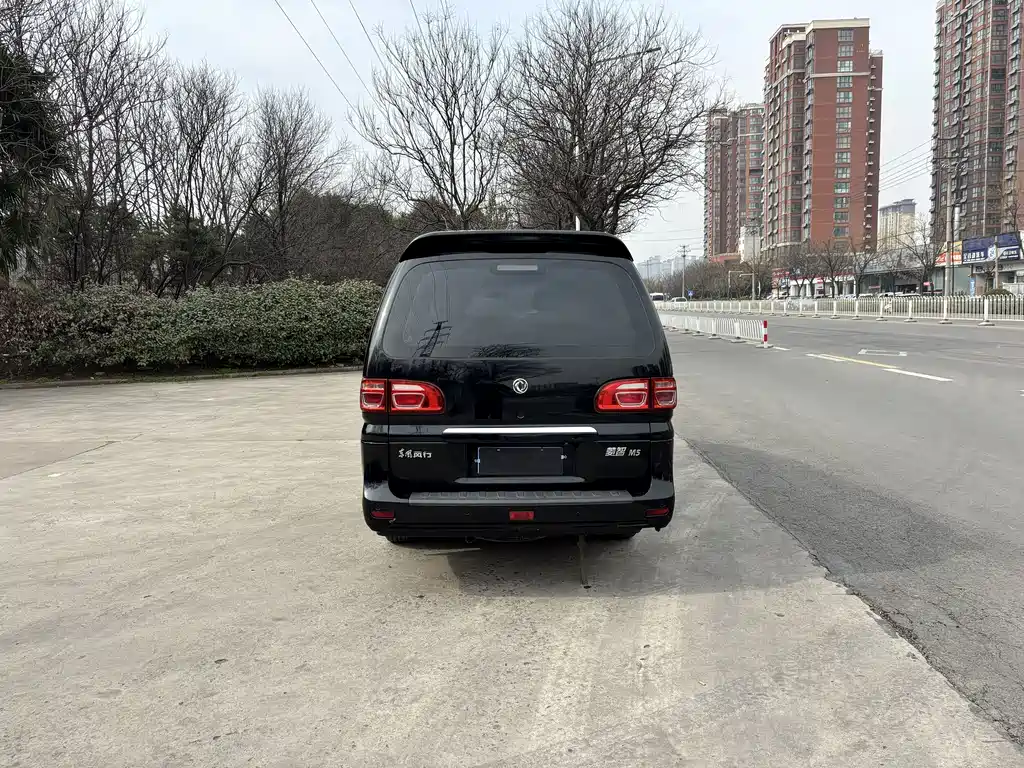 DONGFENG LINGZHI